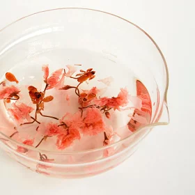 Fleur de sakura en salaison ⋅ Yamashin ⋅ 30g - Image 3