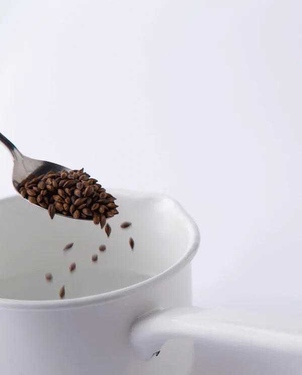 Infusion d'orge mugicha en vrac ⋅ Ippodo Tea ⋅ 407g - Image 2