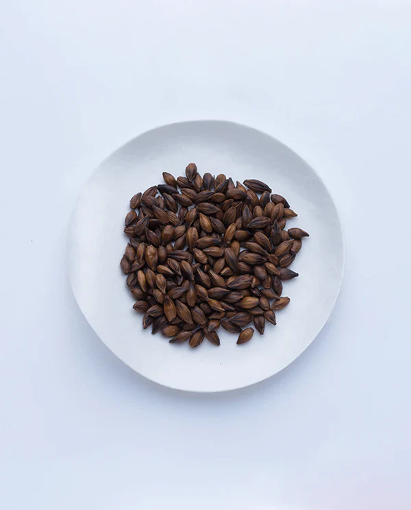 Infusion d'orge mugicha en vrac ⋅ Ippodo Tea ⋅ 407g - Image 3