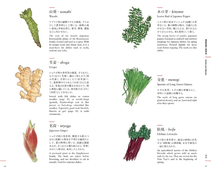 Livre An Illustrated Guide to Japanese Cooking and Annual Events - Blingue anglais et japonais ⋅ Tankosha - Image 3