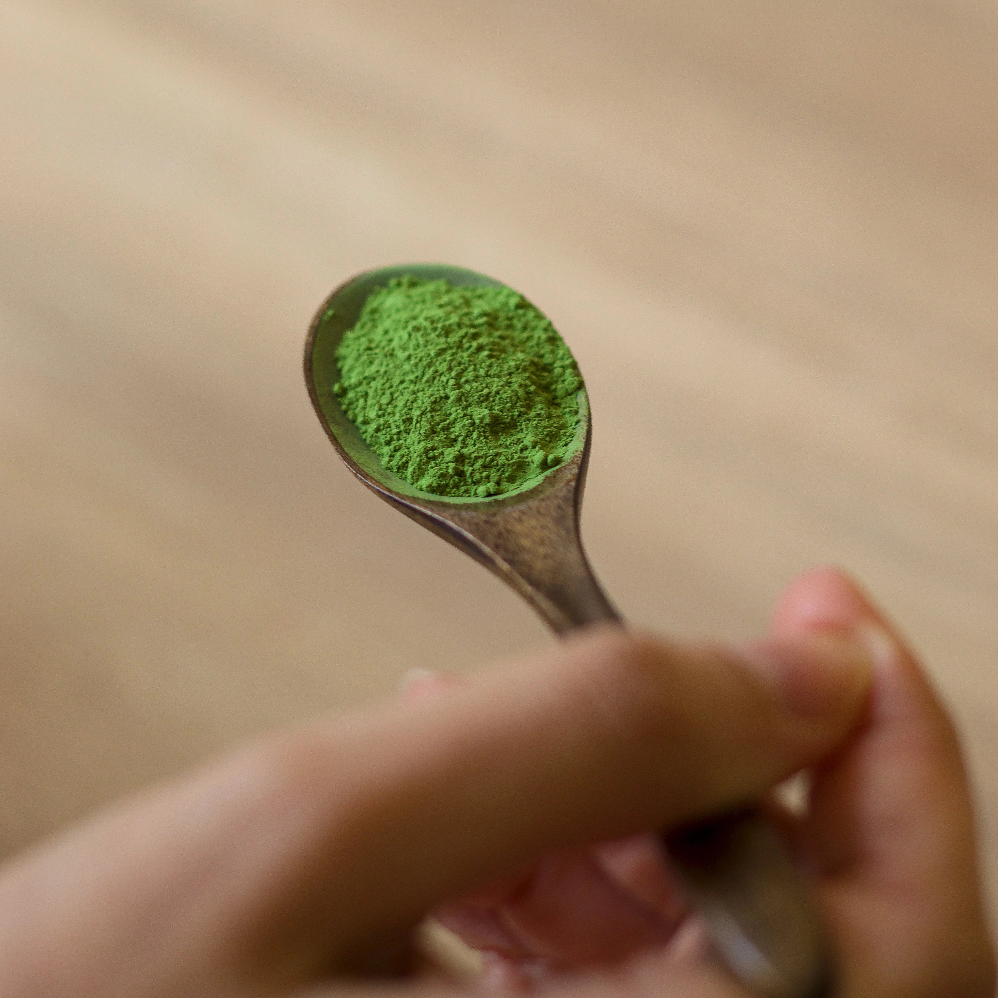 Thé matcha classique ⋅ Anatae ⋅ 30g - Image 4