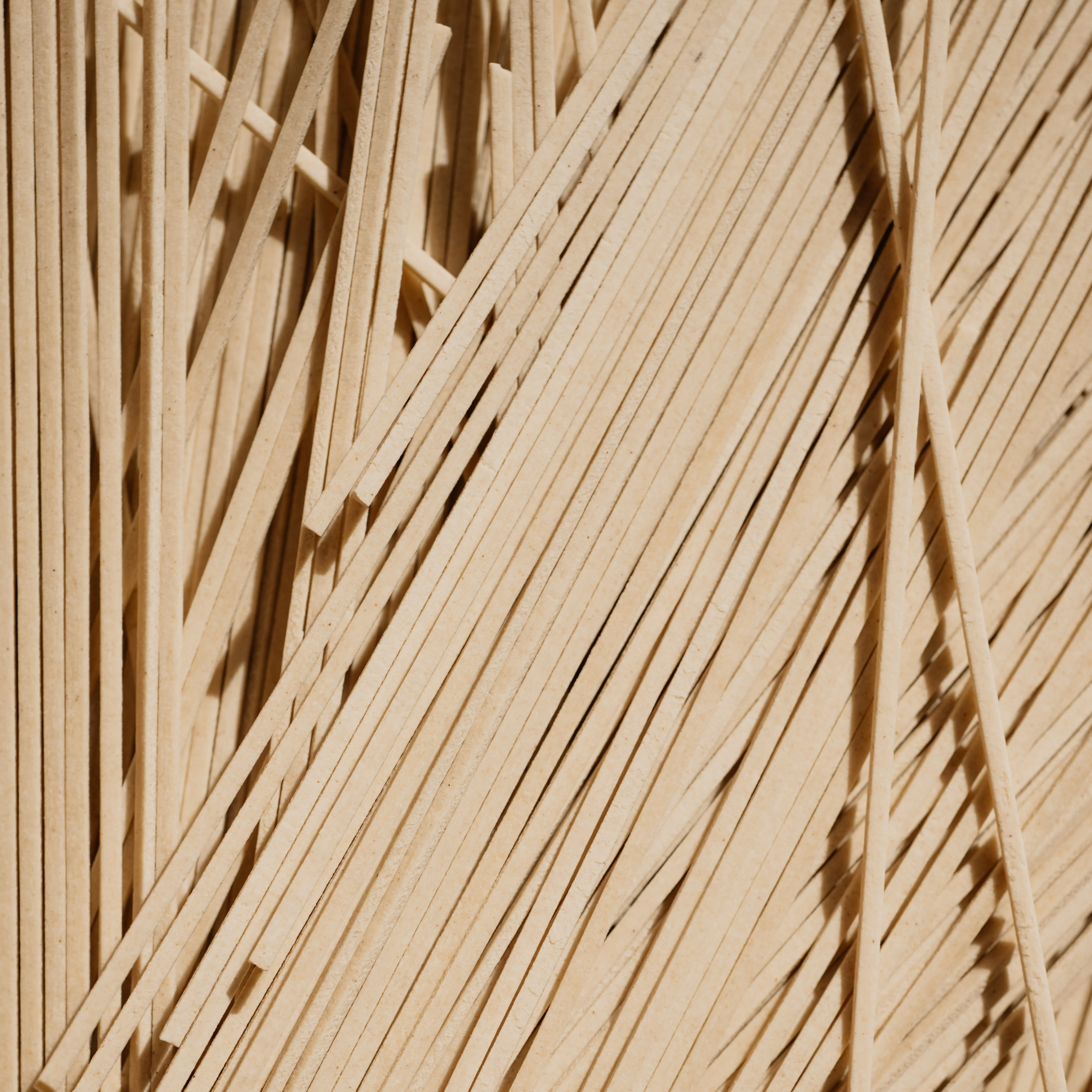Nouilles soba du Shinshu ⋅ Shinshu Togakushi Soba pour iRASSHAi ⋅ 200g - Image 3