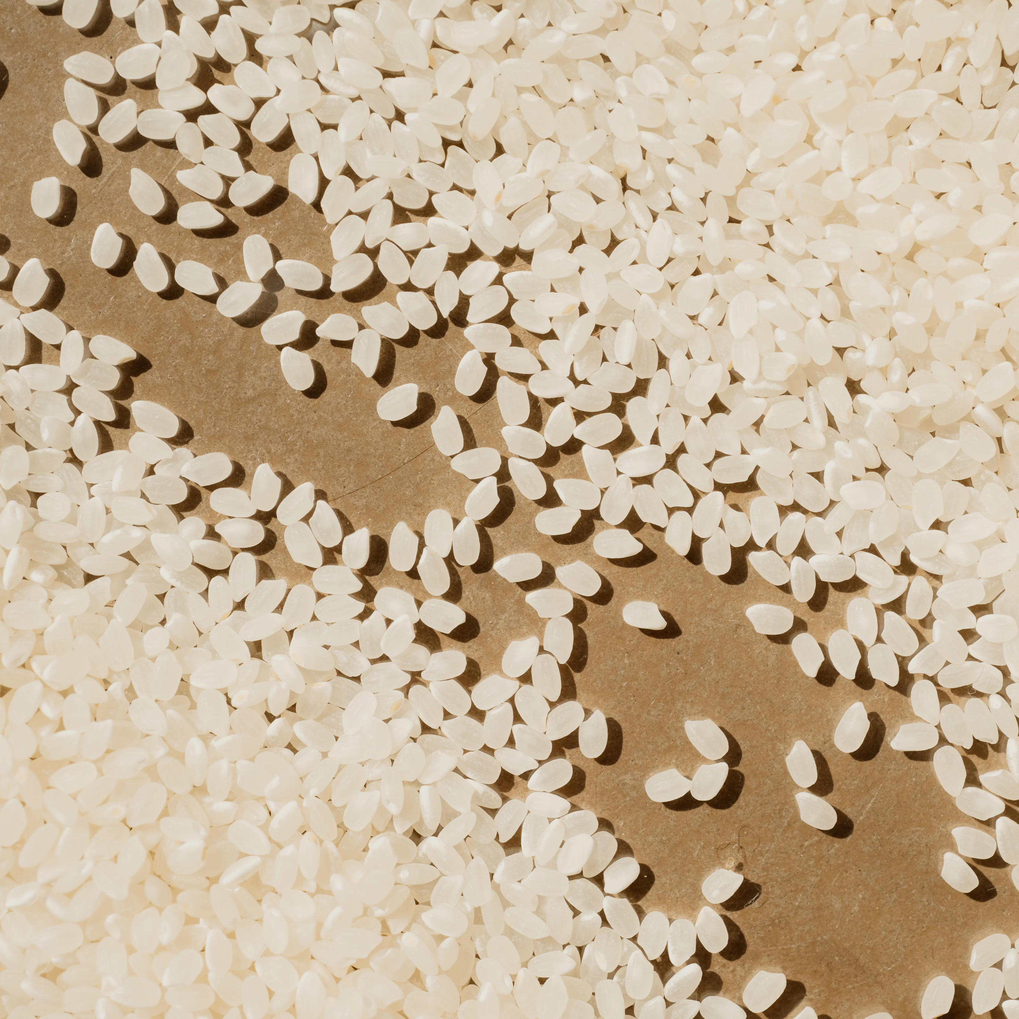 Riz blanc koshihikari ⋅ Nanohana pour iRASSHAi ⋅ 1kg - Image 3
