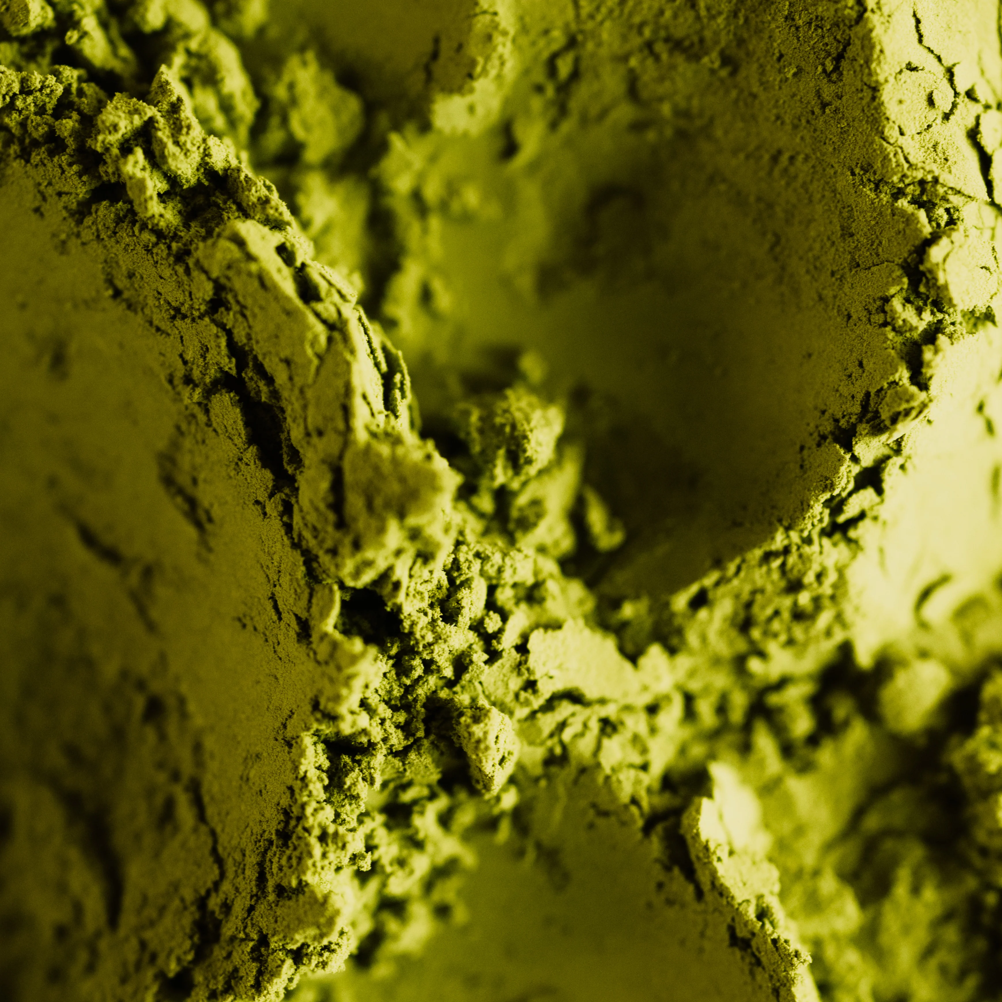 Thé matcha d'Uji ⋅ Yamamasa Koyamaen pour iRASSHAi ⋅ 30g - Image 3